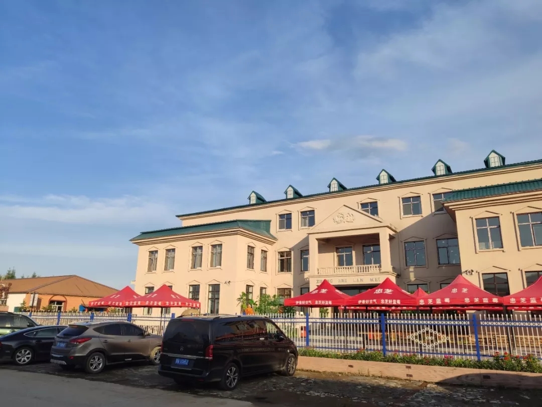 1594019429173323.jpg 10.webp.jpg